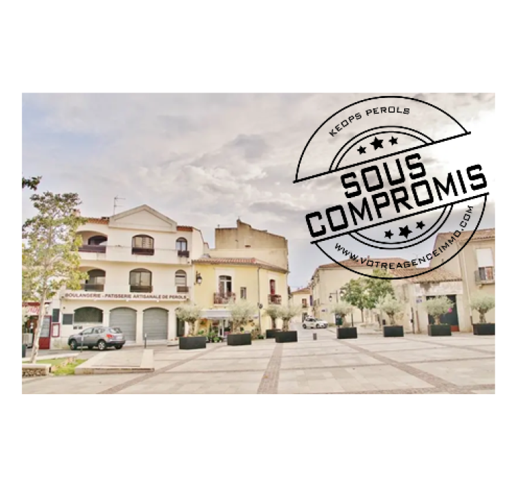 biens/1/3bb7b5dcbc9140b4021beb24d97848c1/photo_5abab27f573a04b66dc01043bb4c1065.png