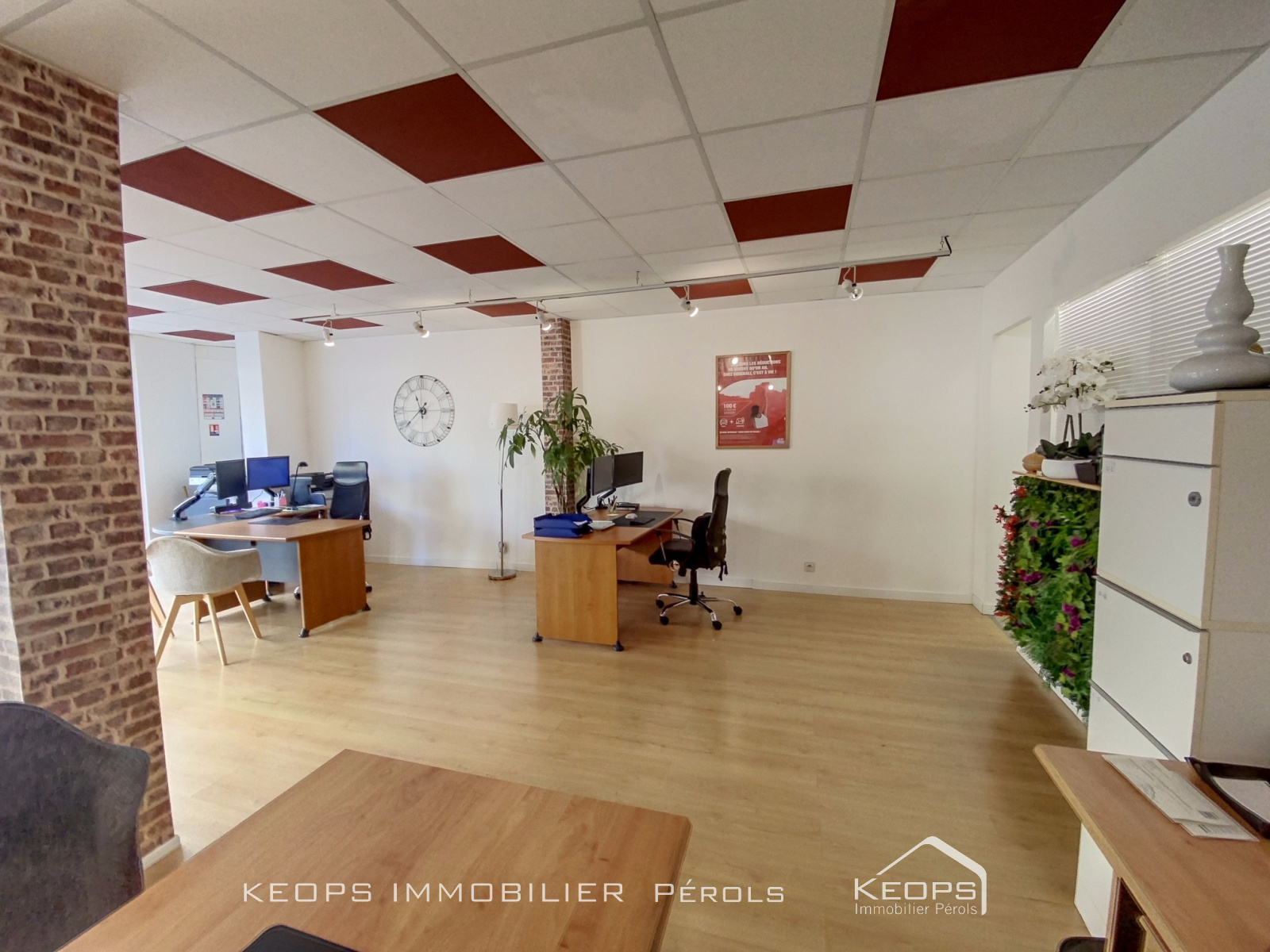 Image_, Local commercial, Pérols, ref :1669