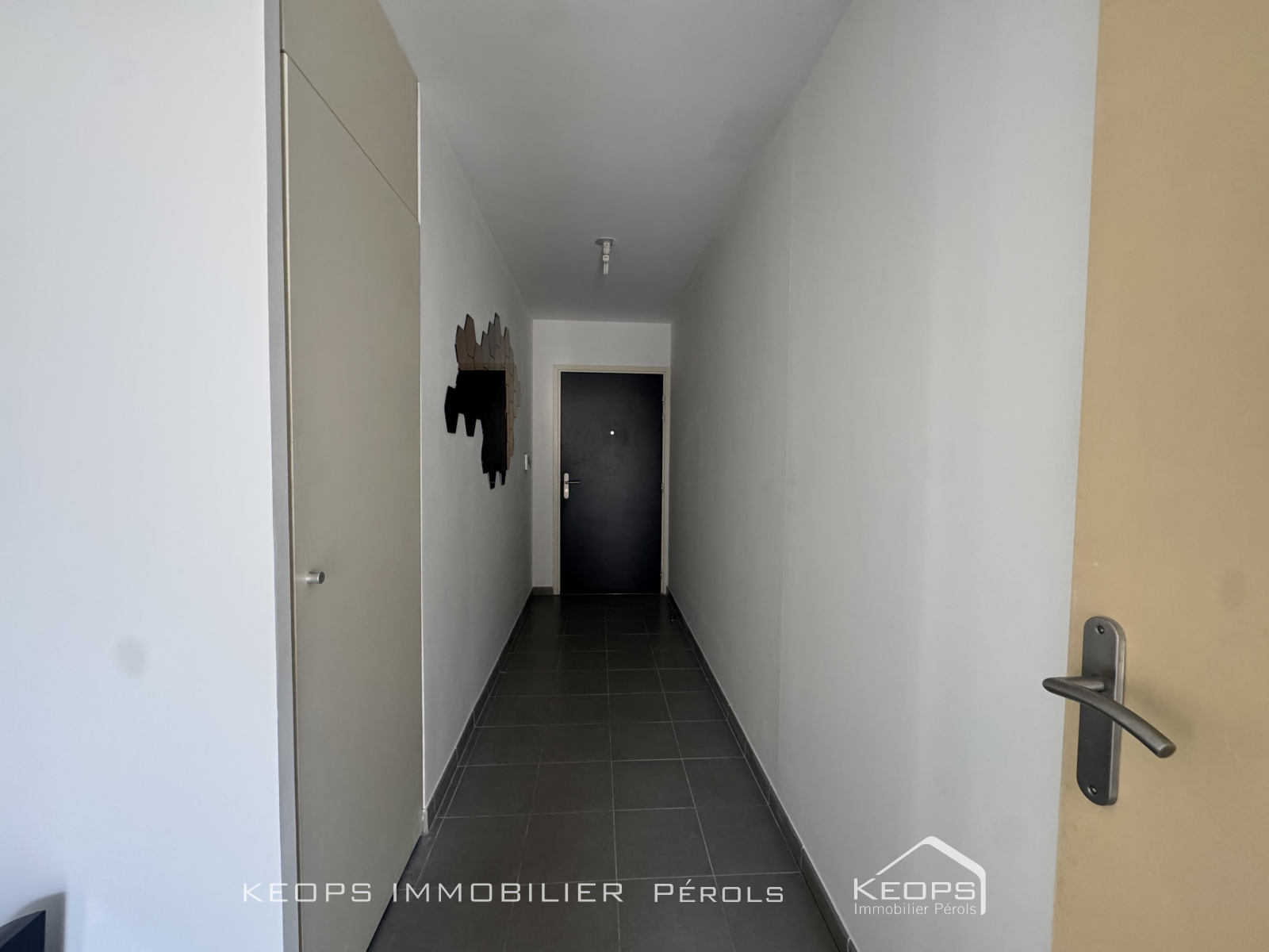 Image_, Appartement, Montpellier, ref :1698