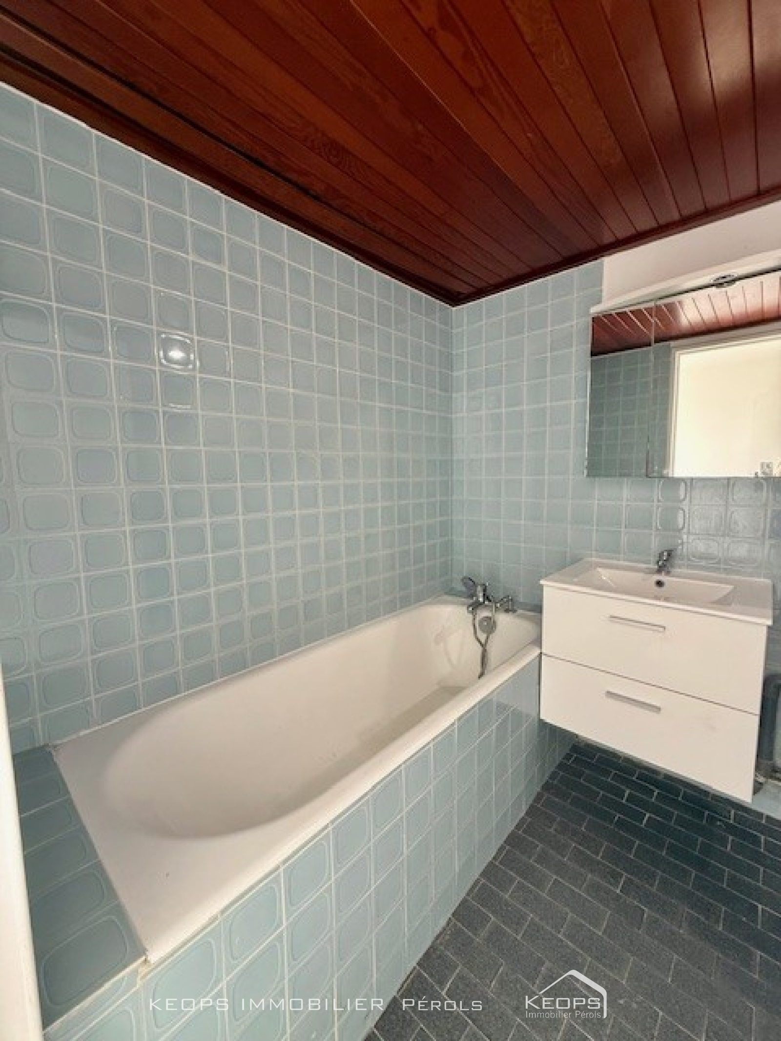 Image_, Appartement, Mauguio, ref :1309