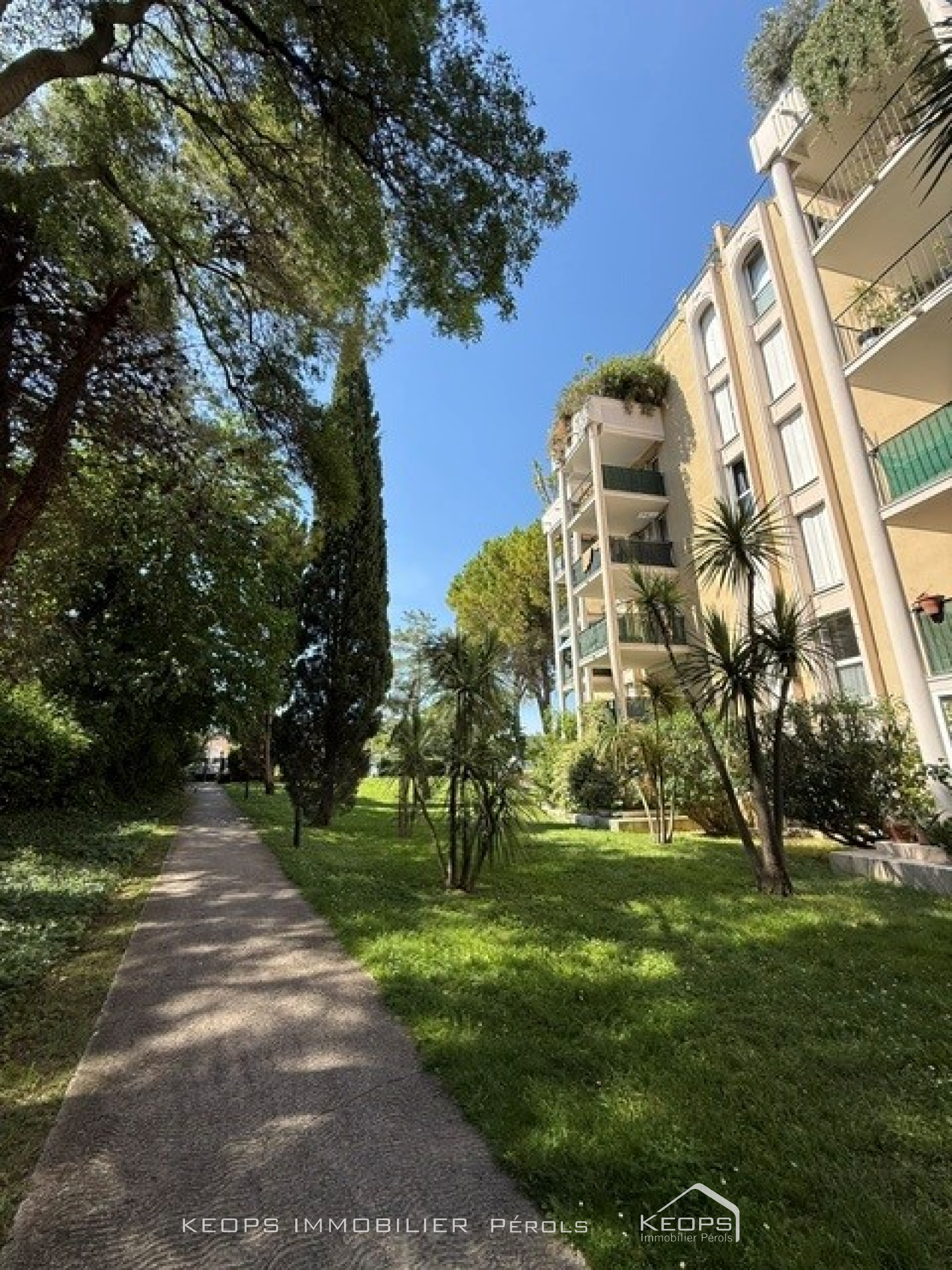 Image_, Appartement, Montpellier, ref :03598