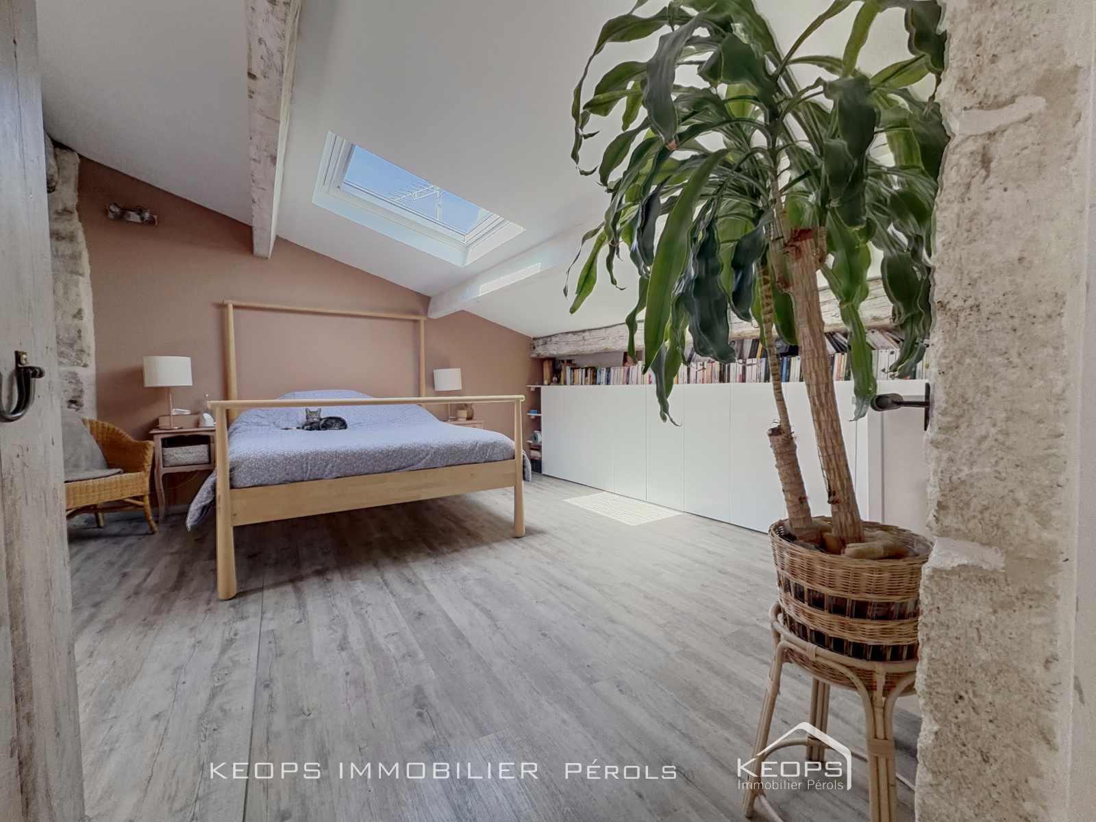 Image_, Duplex, Pérols, ref :1993
