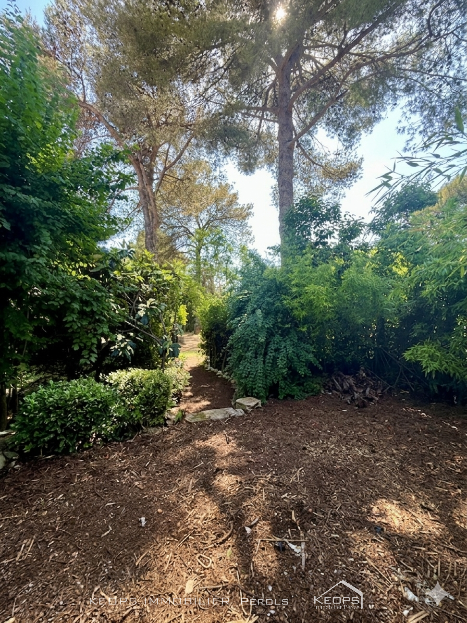 Image_, Maison, Montpellier, ref :1552