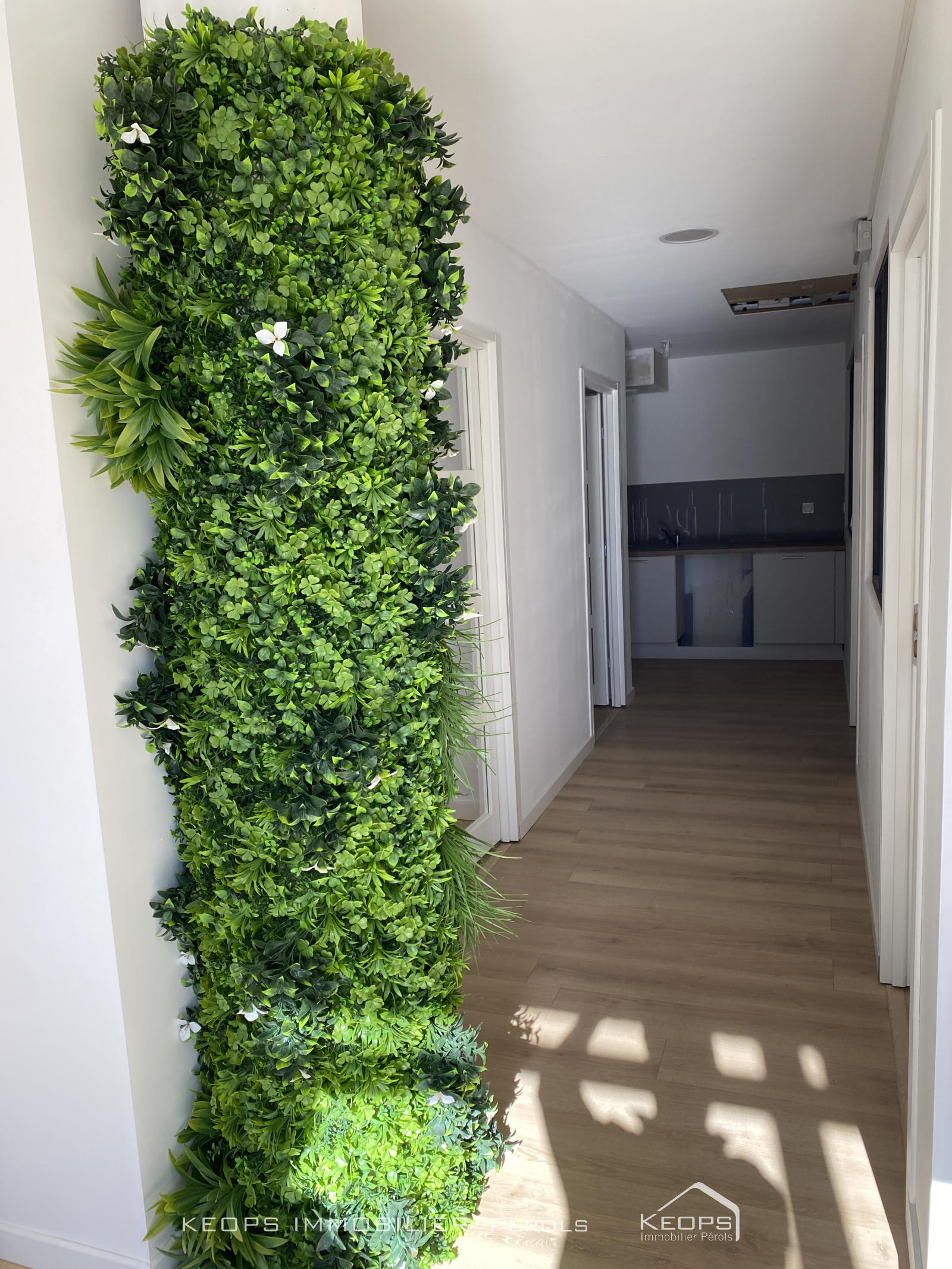 Image_, Local commercial, Baillargues, ref :1682