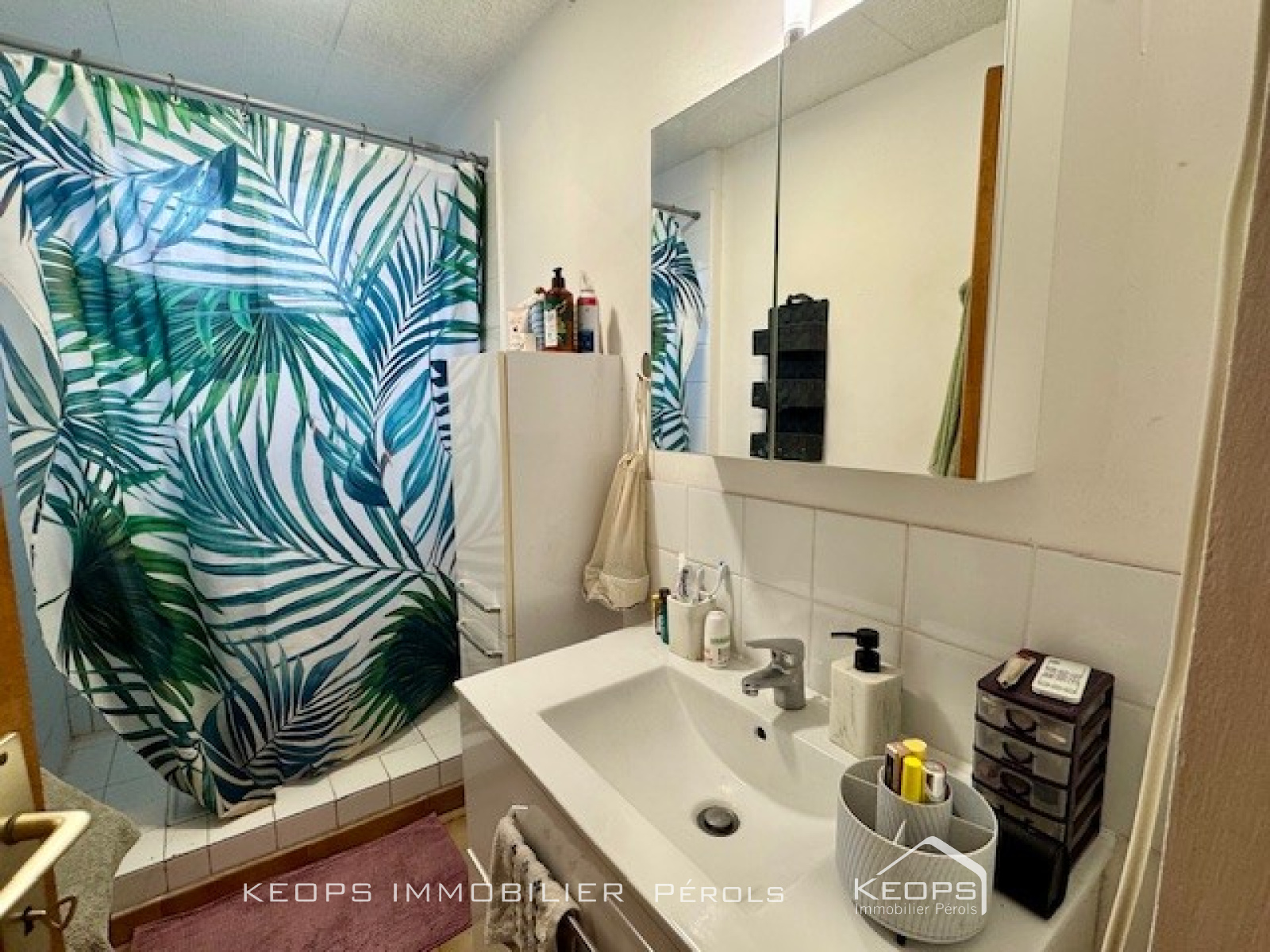 Image_, Appartement, Vendargues, ref :03411