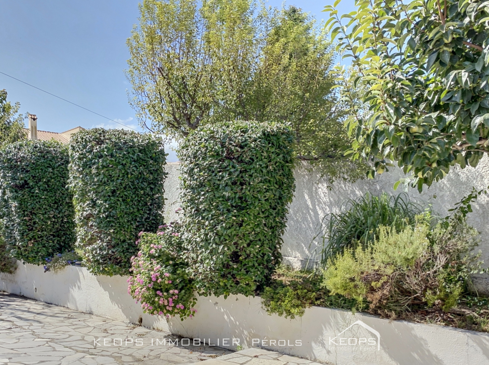 Image_, Maison, Saint-Aunès, ref :1986