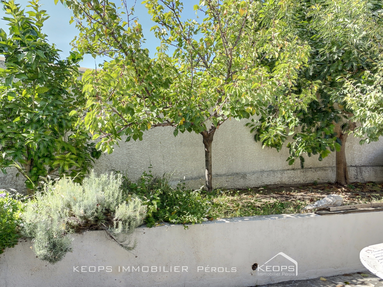 Image_, Maison, Saint-Aunès, ref :1986